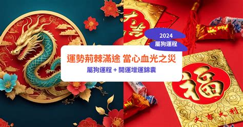 屬狗的財位|【屬狗2024生肖運勢】運勢荊棘滿途，當心血光之。